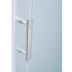 Душові двері в нішу Lidz Zycie SD120x185.CRM.FR Frost - зображення 2